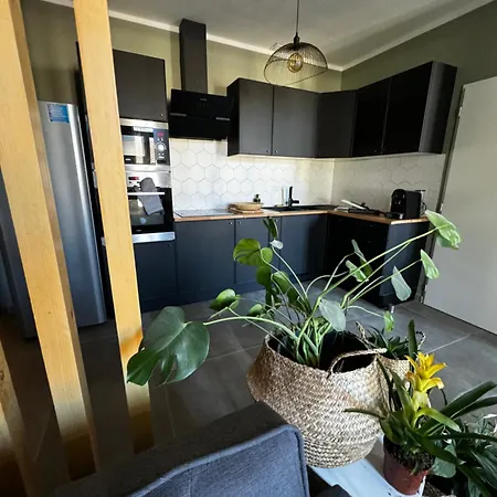 Les Copains D'abord 尼姆